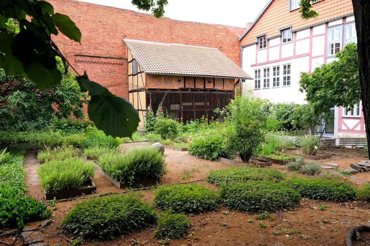 Stadtrundgang zeigt grüne Oasen in der Göttinger Altstadt Presseportal